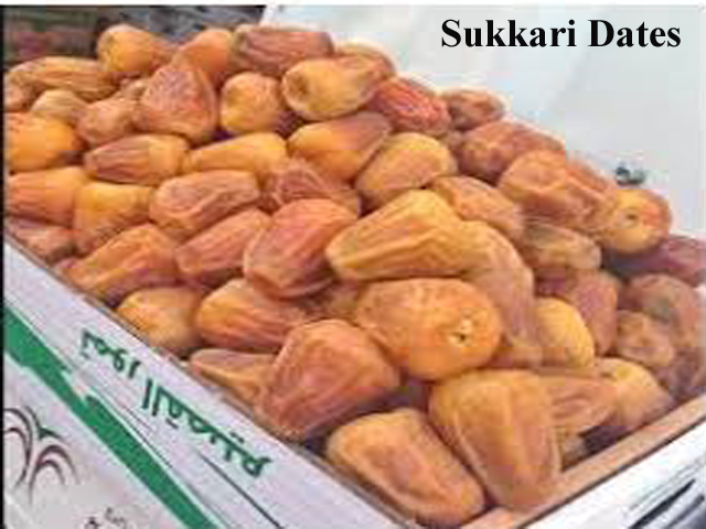 Sukkari Dates