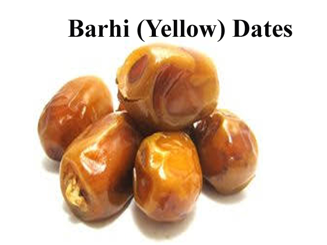  Barhi (Yellow) Dates