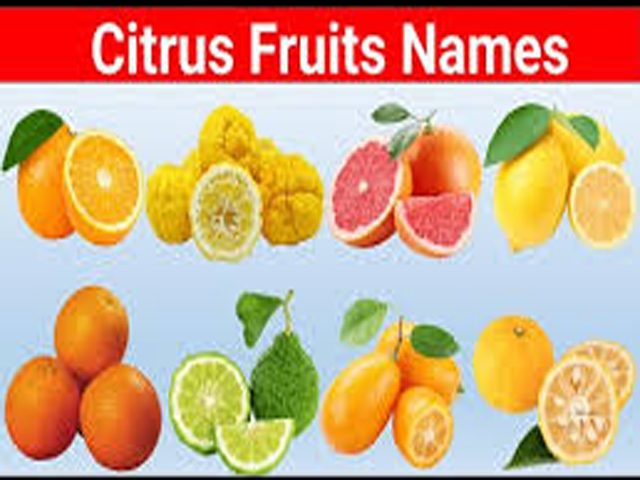 Citrus Fruits (Oranges, Grapefruits, Lemons)