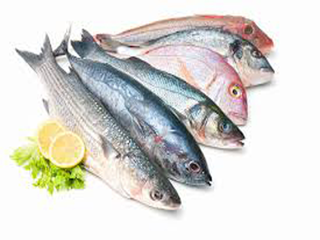 Fish (Salmon, Tuna, Sardines)