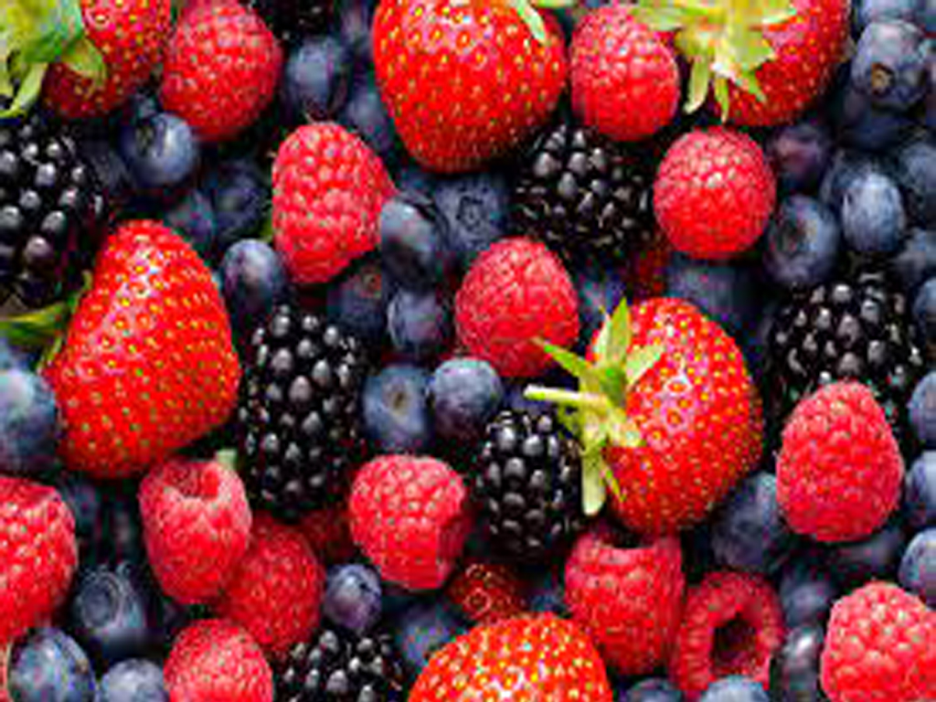 Mediterranean Diet Food - Berries