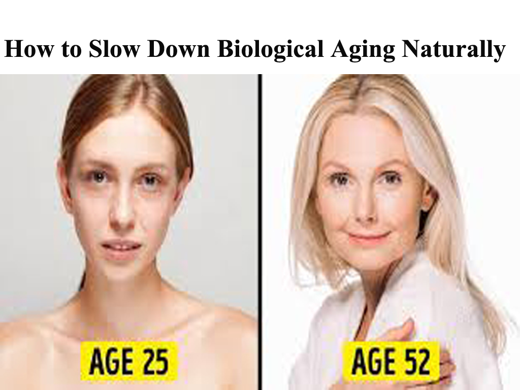 How to Slow Down Biological Aging Naturally